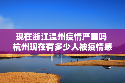 现在浙江温州疫情严重吗 杭州现在有多少人被疫情感染