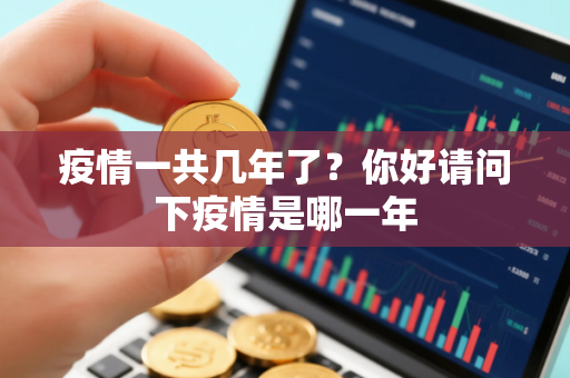 疫情一共几年了？你好请问下疫情是哪一年