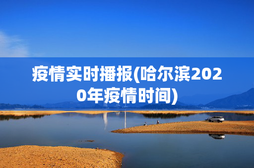 疫情实时播报(哈尔滨2020年疫情时间)