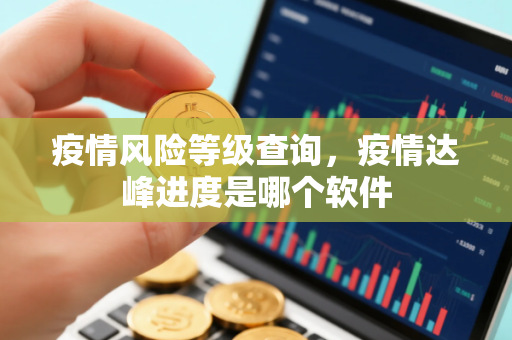 疫情风险等级查询，疫情达峰进度是哪个软件
