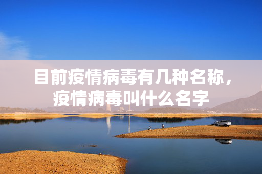 目前疫情病毒有几种名称，疫情病毒叫什么名字