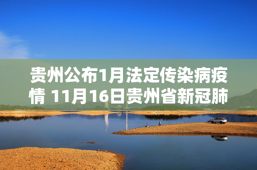 贵州公布1月法定传染病疫情 11月16日贵州省新冠肺炎疫情病例数据情况