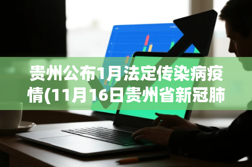 贵州公布1月法定传染病疫情(11月16日贵州省新冠肺炎疫情病例数据情况)
