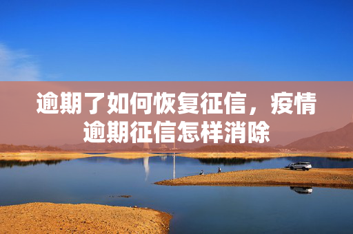 逾期了如何恢复征信，疫情逾期征信怎样消除